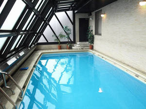 japanese pool - swimming pool property leisure ...