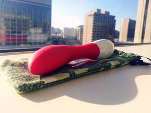 g-spot 2 - LELO Mona 2 chilling in my hotel room at CatalystCon East '13