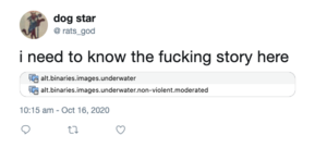 alt binaries nudist sex - alt.binaries.images.underwater.non-violent.moderated: a deep dive - Waxy.org