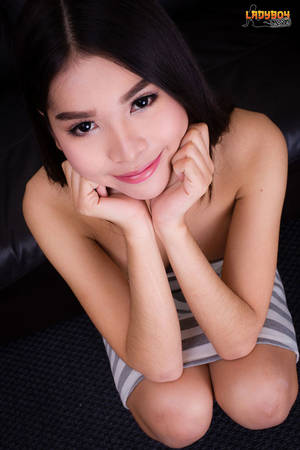 ladyboy lala - 