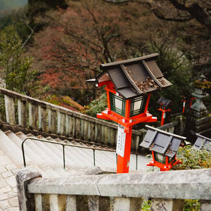 Embryo Princess Porn - Download: