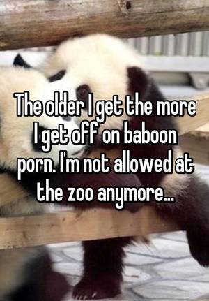 Baboon - The older I get the more I get off on baboon porn. I'm not allowed at the  zoo anymore.