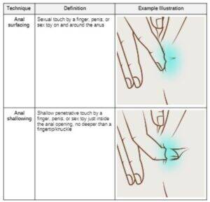 anal sex research - Scientific research shows: women love anal sex, but it depends on how it is  done - Naughty Business Report