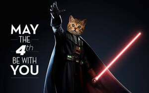Cat Star Wars Porn - cybergata: Happy Star Wars Day Porn Photo Pics
