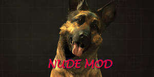 Fallout Dogmeat Porn - Fallout 4 Nude Mod With Pubic Hair, Curvier Bodies, And Colorful Undies  That Fit