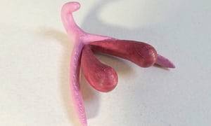 3d Giant Cock Tiny Girl Porn - A 3D printer clitoris model. '