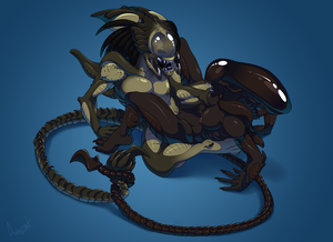 Alien Vs Predator Lesbian Porn - Rule 34 - alien alien (franchise) alien girl alien only alien vs predator  astrozerk athletic female breasts claws eyeless female female xenomorph  female yautja mandibles multiple girls nipples nude open mouth plain