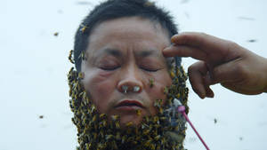 Mandy Lee Reality Gang - NEW FRONTIER SHORT FILMS. â€œ