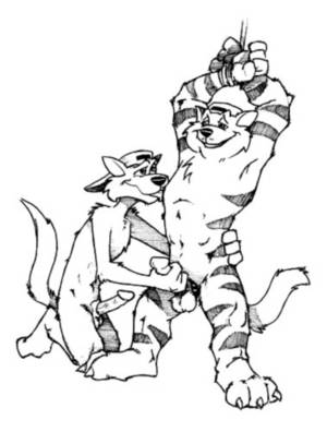 Feline Paw Porn - e621 animal_genitalia anthro anthro_on_anthro balls bdsm bondage bound cat  chance_furlong duo erection feline handjob humanoid_penis jake_clawson