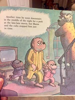 Berenstain Bears Porn - The Berenstain Bears and Too Much Porn