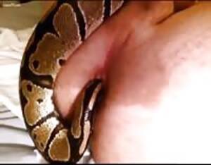 Extreme Snake Porn - Snake - Extreme Porn Video - LuxureTV