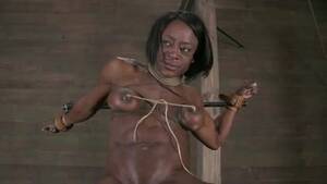 ashley starr bondage - Ashley Starr Gets Cracked - ZB Porn