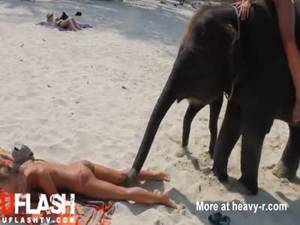 girl takes elephant dick - Topless Teen Molested by Elephant