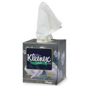 Kleenex Porn - Porn Critic