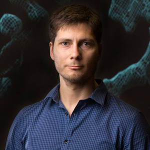 Bat Woman Porn Reactor - Dmitry-Lyumkis