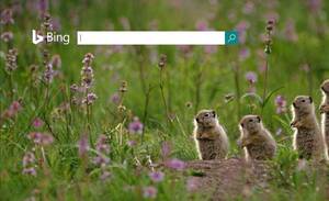 Bing Pornography - Microsoft's Bing STILL Surfacing Results for Child Pornography - WinBuzzer