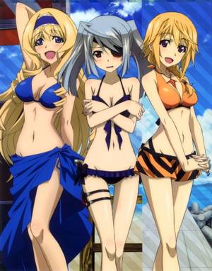 Cat Costume Infinite Stratos Porn - New Infinite Stratos Anime Due - Ecchi - anime in South Africa