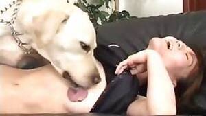 d 0g fucking asian - Asian girl fucking a dog in a hot way
