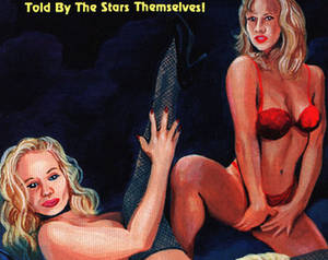 Dumb Dora Porn - NSFW Carnal Comics Presents Porn Star Fantasies #2 True Stories of Adult  Film Stars,