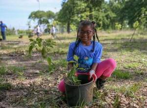 Gate City Va Ameature Porn - SCA Volunteers Work to Undo Harvey's Damage at SE Houston Park