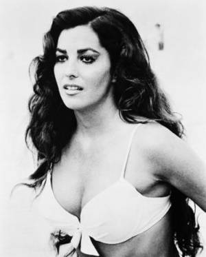 Edy Williams Porn Star Classic - Actress Edy Williams