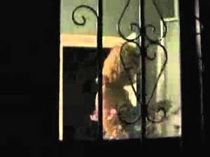 big boobs hidden cam nude - Hidden cam Sexy mature nude big boobs - Femme mature sexy filmÃ©e - YouTube