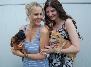 Julia Ann Gangbang Porn - SD5