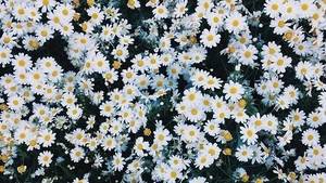 Good Vibes Porn Tumblr - bringing only good vibes.