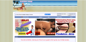 Adult Porn Forums - PlanetSuzy Review & Top 12 Porn/Sex Forums Like PlanetSuzy.org