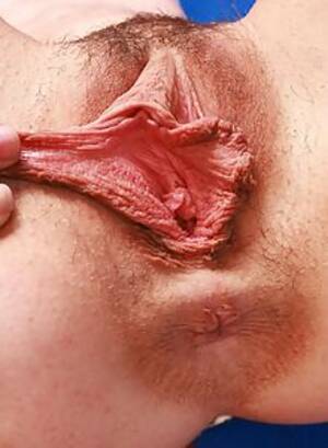 fat pussy lips close up - Closeups at Labia Love