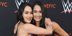 Bella Twins Porn Site - Nikki and Brie Bella bare twinning baby bumps in nude photo shoot