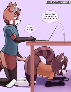 Anime Furry Panda Porn - Red Panda Siblings comic porn | HD Porn Comics
