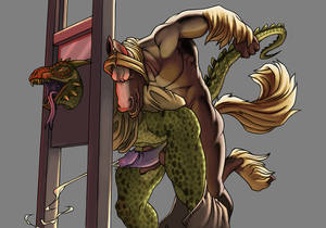 Equine Porn - Statistics