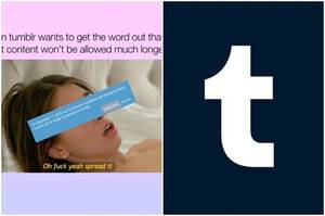 Banned Content Porn - Tumblr's Porn Ban Will Delete A Huge Part Of Internet Culture