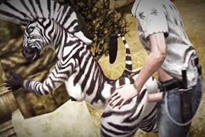 Furry Animal Vagina Porn - Fucked a titty zebra and cum in her furry vagina (+porn comics) - Hentai