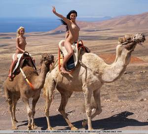 Egyptian Porn Star Riding Camel - naked-camel-ride-02