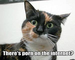 cat - There's Porn On The Internet?