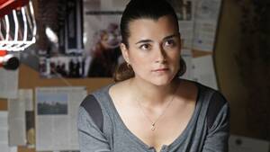 Cote De Pablo Hardcore Porn - Why Did Ziva Leave NCIS? - Here's What Cote de Pablo Has Been Doing Since  NCIS Exit
