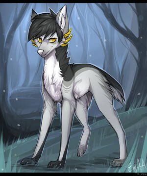 Furry Porn Feral 2016 - 243801 - safe, artist:dethscript, oc, oc only, canine, mammal, feral, 2016,  art trade, detailed background, forest, forest background, fur, grass, gray  body, gray fur, gray hair, hair, male, outdoors, plant, quadruped, solo,