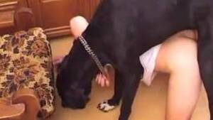 Black Bestiality Porn - Black dog and perverted zoophile are enjoying bestiality so much