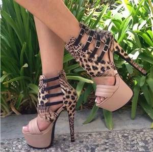 Leopard Print Heels Porn - Shop Striking Contrast Color Leopard Grain Cut-Outs Dress Sandals on sale  at Tidestore with trendy design and good price. Come and find more fashion  High ...