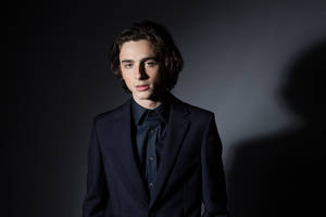 Meth Head Sex Mom Youtube - TimothÃ©e Chalamet Comes of Age in Gay Romance 'Call Me by Your Name' |  IndieWire