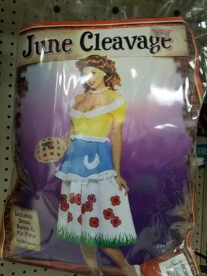 June Cleaver Porn - Also who would wanna be the porn parody version of June Cleaver for  Halloween?â€¦ https://t.co/GkbHMXXrCV\