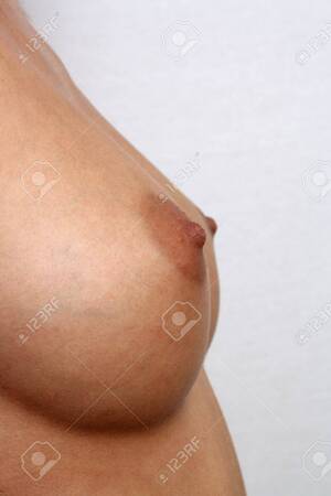 c-sized boobs - Symmetrical Female Breasts, Size 30-C, Unretouched Stock Photo, Picture and  Royalty Free Image. Image 17330133.