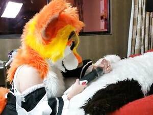 Furry Sex Costume Porn - furry costume Porn Movies - Free Sex Videos | TubeGalore