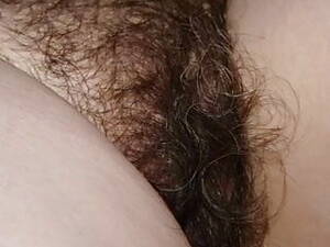 My Hairy Wife Porn - Free Hairy Wives Porn Videos (345) - Tubesafari.com