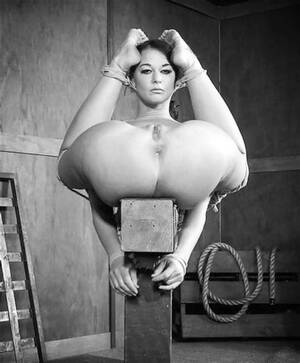 Big Tits Legs Behind Head - Hands behind head - 70 photo