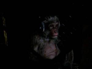 Monkey Watch Porn - Creepy Monkey Watches Porn - YouTube