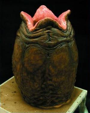 Face Sucker Alien Vs Predator Porn - Eggs.