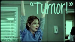 Meredith Grey Pussy - Grey's anatomy- the only place where a tumor is cause for celabration